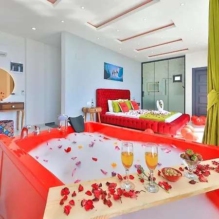 Villa Alyans *